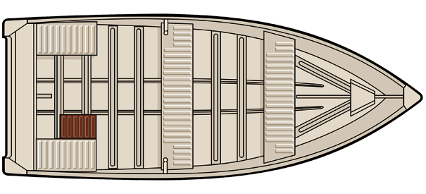 Starfish 20